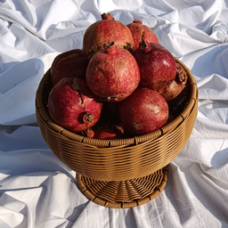 سبد شست و شوی میوه مدل آریا کد 02