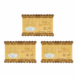 سکه طلا گرمی داریم مدل عادل وزن 1.8 گرم - 3 عدد سکه 0.6 گرمی