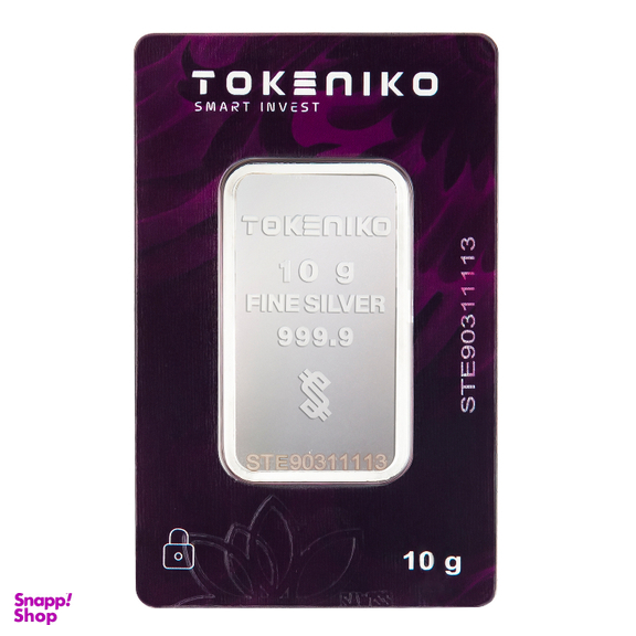 شمش نقره توکنیکو مدل STE-10