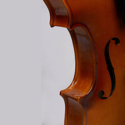 ویولن مدل V.F 120