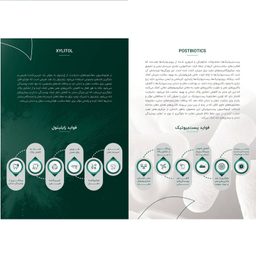 دهان شویه دنتیلایت مدل Postbiotic حجم 500 میلی لیتر