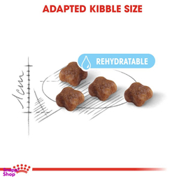 غذای خشک گربه رویال کنین مدل Mother & Baby وزن 2 کیلوگرم