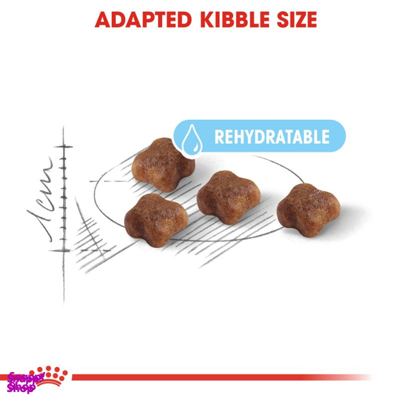 غذای خشک گربه رویال کنین مدل Mother & Baby وزن 2 کیلوگرم