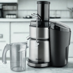 آبمیوه گیری 4 کاره دسینی مدل DS171