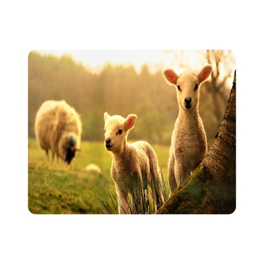 ماوس پد اطلس آبی طرح گوسفند مدل T7843