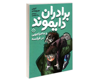 کتاب برادران دایموند و ماجراجویی در فرانسه اثر آنتونی هوروویتس نشر پنجره
