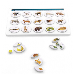 بازی فکری هوش چین 4 تکه