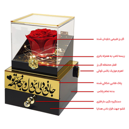 باکس گل رز جاودان موزیکال مدل جانی و دلی
