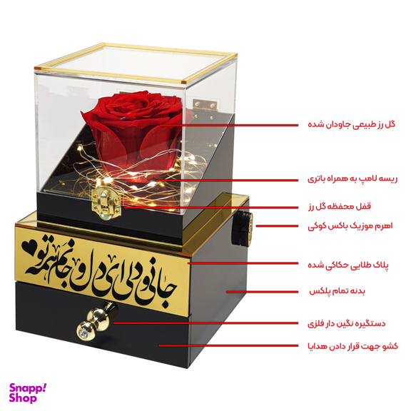 باکس گل رز جاودان موزیکال مدل جانی و دلی