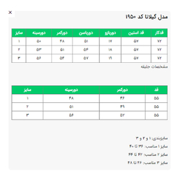 ست 3 تکه لباس زنانه السانا مدل گیلانا کد 195063