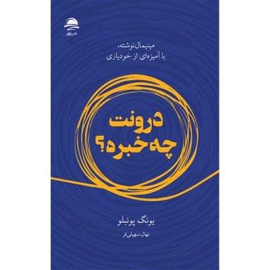 کتاب درونت چه خبره اثر یونگ پوئبلو نشر داهی