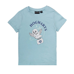 ست تیشرت آستین کوتاه و شلوارک راحتی پسرانه هری پاتر مدل 6330 رنگ آبی