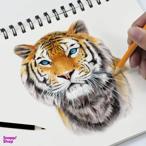 مداد رنگی 18 رنگ یالونگ کد Y22105918