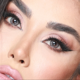 لنز فصلی بیوتی مدل N21OB شماره 206 رنگ طوسی روشن دور مشکی