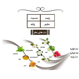 ادوپرفیوم زنانه ایفوریا مدل 1 میلیون لیدی حجم 30 میلی لیتر