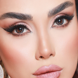 لنز فصلی بیوتی شماره 205 رنگ طوسی دور مشکی