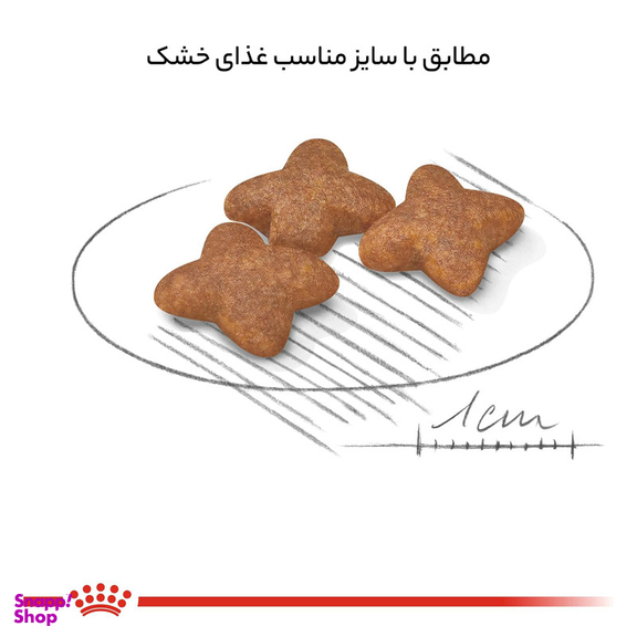 غذای خشک رویال کنین مدل مینی ادالت وزن 2000 گرم