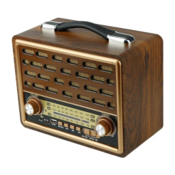 اسپیکر بلوتوثی و رادیو رایسنگ مدل R-2088BT