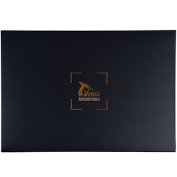 ست هدیه مردانه چرم بارز مدل DS1.1newBOX
