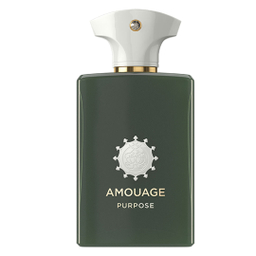 ادو پرفیوم مردانه و زنانه طرح آمواژ مدل پرپوس حجم 100 میلی لیتر