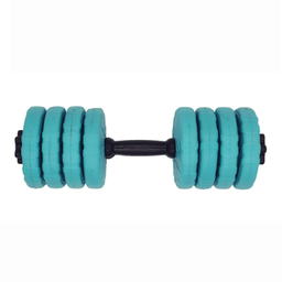 دمبل رادیس فیت مدل DVP8-1000 One Handle وزن 8 کیلوگرم