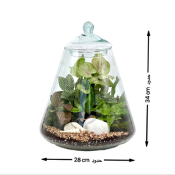 تراریوم مدل هرمی 2 سایز بزرگ