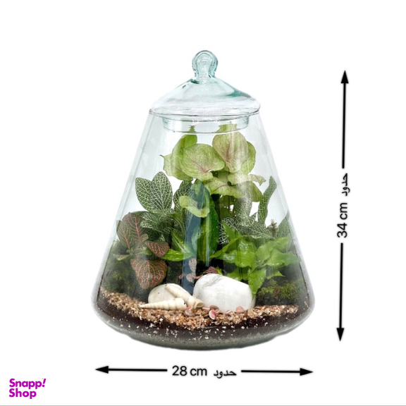 تراریوم مدل هرمی 2 سایز بزرگ