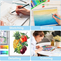 مداد رنگی 520 رنگ جعبه فلزی کالور طرح لاکپشت کد K520