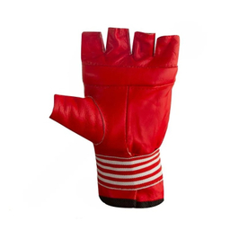 دستکش چرمی کونگ فو Everlast کد 001