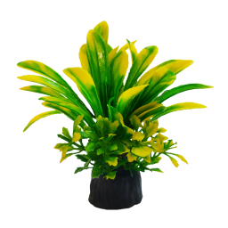 گیاه تزیینی آکواریوم مدل رزماری زرد