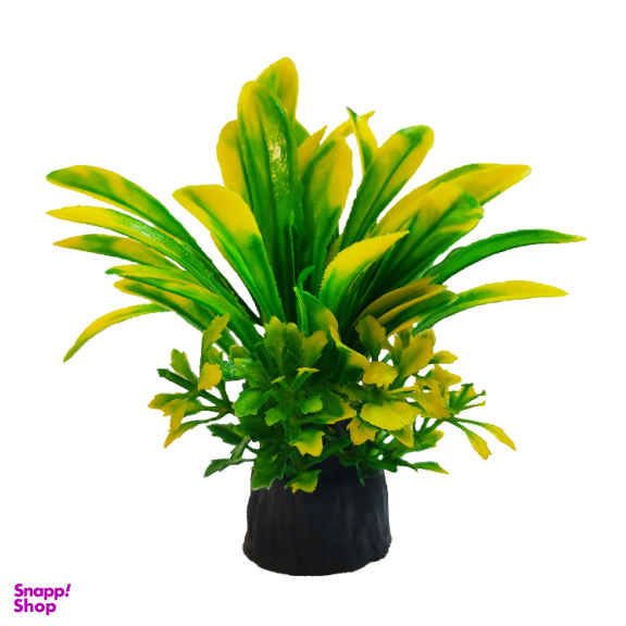 گیاه تزیینی آکواریوم مدل رزماری زرد