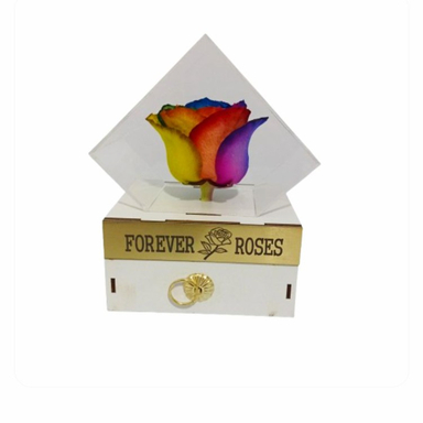 گل خشک رز جاودان کد 504