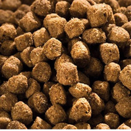 غذای خشک بچه گربه فله ای هپی کت مدل Minkas وزن 1.5 کیلوگرم