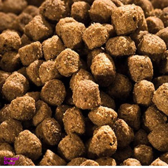غذای خشک بچه گربه فله ای هپی کت مدل Minkas وزن 1.5 کیلوگرم