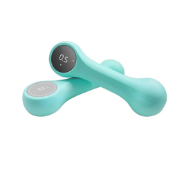 دمبل هوشمند شیائومی AB252 مدل MVDB0011 وزن 500 گرم