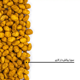 سویا روکش دار کاری بارجیل