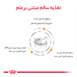 غذای خشک گربه رویال کنین مدل Urinary وزن 1.5 کیلوگرم