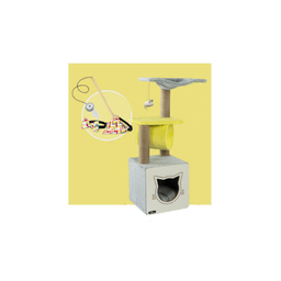 درخت گربه نیناپت کد Z