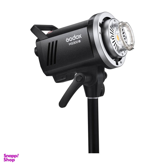 کیت فلاش دوربین گودکس مدل MS300-V
