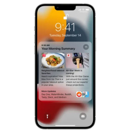 گوشی موبایل اپل مدل iPhone 13 Pro Max ظرفیت 256 گیگابایت