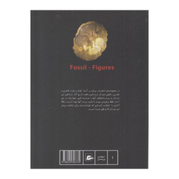 کتاب تصاویر فسیلی از مجموعه انتخاب پریان اثر جمعی از نویسندگان انتشارات پریان جلد 1