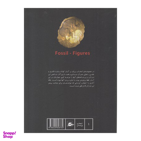 کتاب تصاویر فسیلی از مجموعه انتخاب پریان اثر جمعی از نویسندگان انتشارات پریان جلد 1