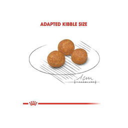 غذای خشک سگ رویال کنین مدل ایکس اسمال طعم مرغ  وزن 1.5 کیلوگرم