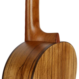 گیتار پارسی مدل P70 کد 4 همراه با کاور