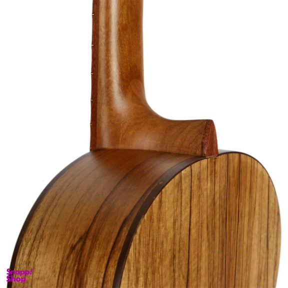 گیتار پارسی مدل P70 کد 4 همراه با کاور