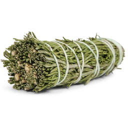 اسماج رزماری مدل پاکسازی