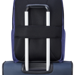 کوله پشتی دلسی مدل SECUR BAN کد 3334603