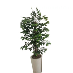 درختچه مصنوعی بنجامین کد 7049