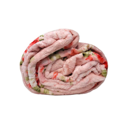 پتو مسافرتی دونفره تیسا مدل لایف کد Bl010217