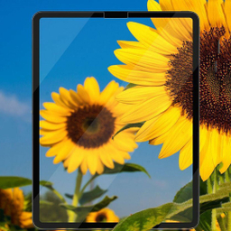 محافظ صفحه نمایش آیپد رسی مدل RSP-P13TD مناسب iPad 12.9 inch